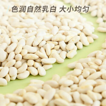 素养生活 有机白芸豆1.9斤/袋 东北小白芸豆 白腰豆菜豆饭豆 杂粮粗粮 /粮油调味 /杂粮 /其他杂粮 商品图2