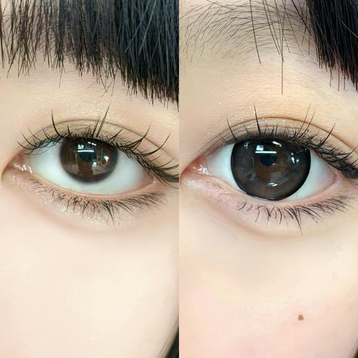 超高舒适度丨DK G336·Deekay丨板栗奶茶棕14.5mm（半年抛/2片装） 商品图12