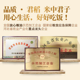 君稻 东北长粒香大米10斤装 当季鲜香 东北大米5kg 粳米 年货送礼 /粮油调味 /米 /长粒香米