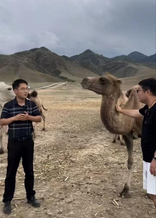 【500积分兑换】有机驼奶粉1罐   300g/罐（15g*20袋） 商品图3