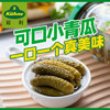 冠利（KUHNE）德国进口 青瓜仔330g 西餐配菜 0脂酸黄瓜腌黄瓜 酸乳瓜 罐头小菜 /粮油调味 /调味品 /榨菜/酱腌菜 商品缩略图4