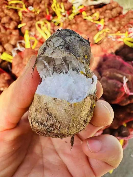 周一取货：【拉丝牛奶芋头】一袋3斤左右，营养丰富！香滑软糯，老少皆爱！ 商品图2