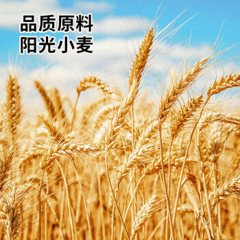 展艺艺焙 烘焙原料 麻薯粉 预拌粉 200g 预拌爆浆冰淇淋麻薯烘焙商用 /粮油调味 /烘焙原料 /烘焙粉 商品图3