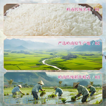 福佑.岭南人家 小玉香粘 大米15kg 猫牙米 油粘米 长粒米 大米30斤 /粮油调味 /米 /油粘米 商品图3