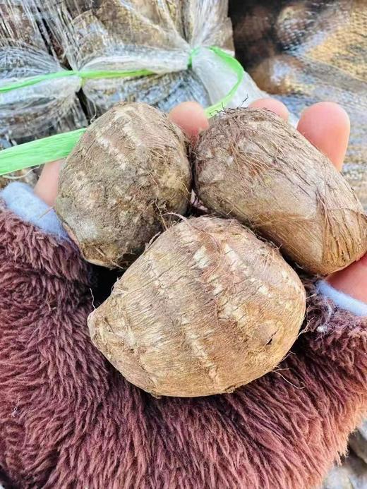 周一取货：【拉丝牛奶芋头】一袋3斤左右，营养丰富！香滑软糯，老少皆爱！ 商品图3