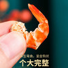 倾海之宴金钩海米100g 虾仁干 淡干不咸 大开洋虾米虾皮虾干 海产干货煲汤 /粮油调味 /南北干货 /鱼虾贝藻类干货 商品缩略图4