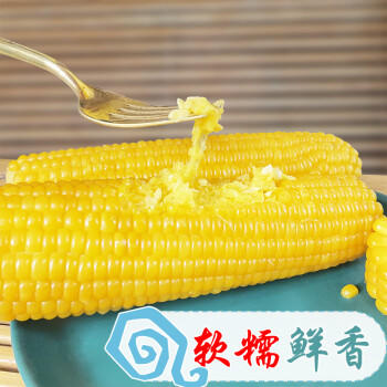 玉米神黄糯玉米棒8根≥1800g/3.6斤粘香软糯东北代餐无添加非转基因粗粮 /粮油调味 /杂粮 /谷米类 商品图3