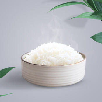 珍尚米 东北长粒香大米5kg 新真空包装 粳米粥米10斤  /粮油调味 /米 /长粒香米 商品图0