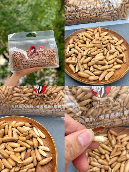 【nq】诸几西施-巴西松子 商品图0