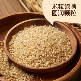 初萃 中粮吉林糙米2斤 五谷杂粮 大米伴侣 粗粮主食 罐装 /粮油调味 /杂粮 /谷米类