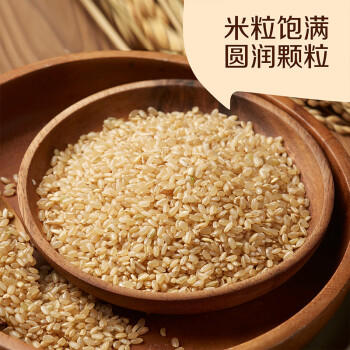初萃 中粮吉林糙米2斤 五谷杂粮 大米伴侣 粗粮主食 罐装 /粮油调味 /杂粮 /谷米类 商品图0