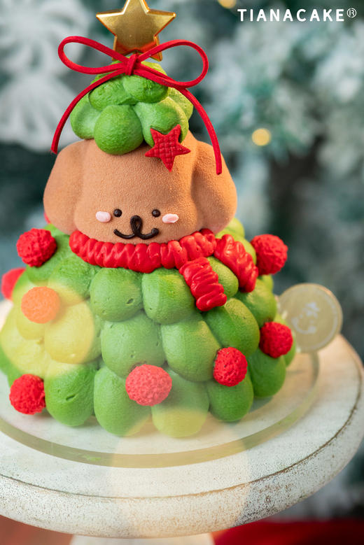 🌟圣诞限定｜修狗星愿树🎄（五寸树莓开心果） 商品图3