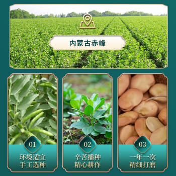 赤川 内蒙古生蚕豆 5斤 干蚕豆新鲜蚕豆粗粮生胡佛豆 /粮油调味 /杂粮 /谷米类 商品图2