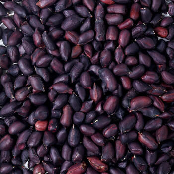 滇品客云南黑花生米1斤礼盒新货晒干休闲零食去壳杂粮生花生仁下酒菜 /粮油调味 /杂粮 /谷米类 商品图7