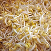 井水豆芽，自然生长，没有科技狠活！ 商品缩略图0