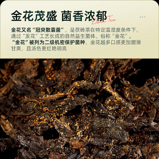 茶马世家安化黑茶金花茯砖天尖料2015年手筑茯砖1kg 商品图6