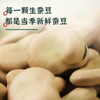 赤川 内蒙古生蚕豆 5斤 干蚕豆新鲜蚕豆粗粮生胡佛豆 /粮油调味 /杂粮 /谷米类 商品图1