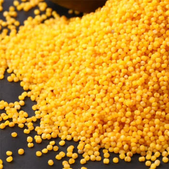 晋味美 沁州黄有机黄小米5斤 山西特产 小米有机 小米杂粮  热门商品 /粮油调味 /杂粮 /谷米类 商品图4