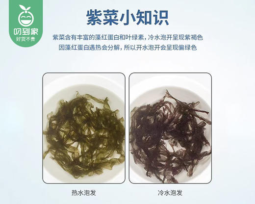 六鳌头水紫菜/1包（约250g）生产日期：26年4月 商品图6
