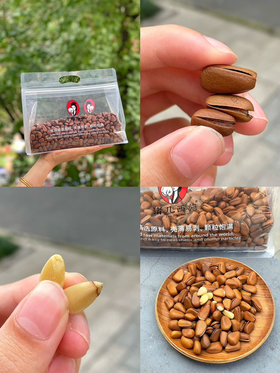 【nq】【诸几西施-非油炸松子