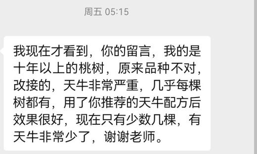 桃树天牛防治组合，强渗透，外打内死，树干喷雾使用 商品图3