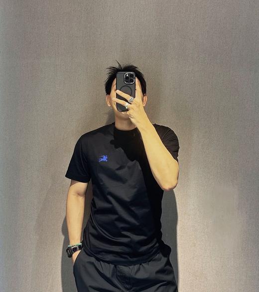 B家 蓝马小刺绣圆领短袖（JN） 商品图1