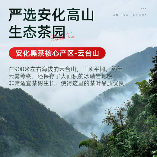 茶马世家安化黑茶金花茯砖天尖料2015年手筑茯砖1kg 商品图2