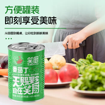 笑厨（XIAOCHU）新疆番茄丁400g*15罐装 配料鲜番茄 0添加剂西红柿丁罐头汁调味酱 /粮油调味 /调味品 /西式酱料 商品图4