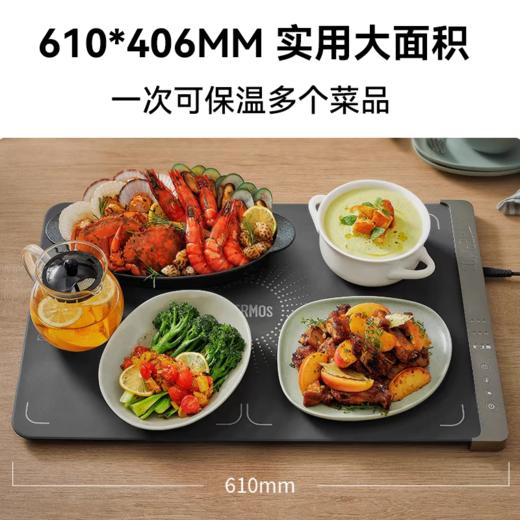 【春上新】10楼 膳魔师  膳魔师折叠柔性暖菜板加热饭菜神器家用饭菜保温垫吊牌价399元 活动价339元 商品图3
