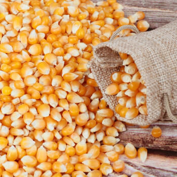 万谷食美 球型爆米花玉米粒2斤爆裂玉米花玉米粒炸苞米花  /粮油调味 /杂粮 /谷米类 商品图4