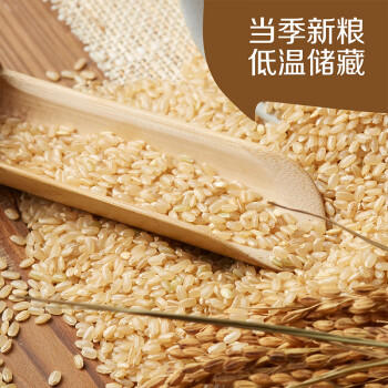 初萃 中粮吉林糙米2斤 五谷杂粮 大米伴侣 粗粮主食 罐装 /粮油调味 /杂粮 /谷米类 商品图4