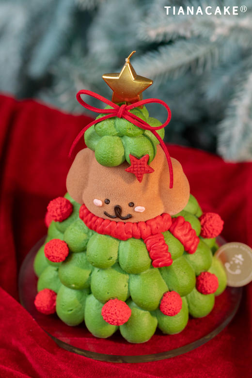🌟圣诞限定｜修狗星愿树🎄（五寸树莓开心果） 商品图2