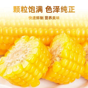 野三坡玉米3.68斤（8穂） 真空锁鲜非转基因黄糯玉米 鲜采玉米棒 /粮油调味 /杂粮 /谷米类 商品图3