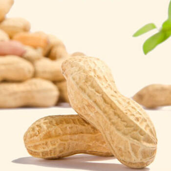 品贯天府咸干花生800g 颗粒饱满 四川特产休闲下酒零食烘炒小吃  /粮油调味 /南北干货 /干菜类 商品图0