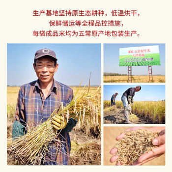 龙轮2026年新米 五常原生米 五常大米 20斤家庭装 东北大米 粳米 /粮油调味 /米 /稻花香米 商品图2