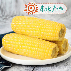 玉米神黄糯玉米棒8根≥1800g/3.6斤粘香软糯东北代餐无添加非转基因粗粮 /粮油调味 /杂粮 /谷米类