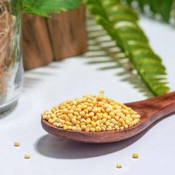 北纯 大黄米400g/袋（含有膳食纤维黍米黄黏米粽子米杂粮米端午食材） /粮油调味 /杂粮 /谷米类 商品图2