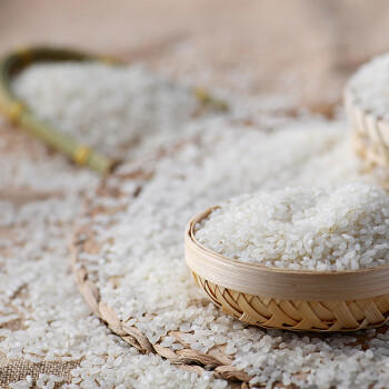 苏垦 苏北大米10斤 状元大米 5kg   软香粳米 官方溯源 国企品质 /粮油调味 /米 /其他大米 商品图2