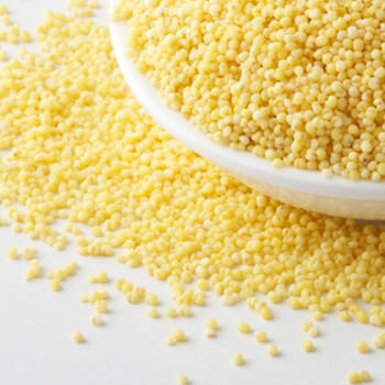 金龙鱼 蔚县小米 5斤 五谷杂粮 张家口蔚县贡米 爱心桃花黄小米  /粮油调味 /杂粮 /谷米类 商品图0