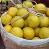【弘毅六不用生态农场】六不用桔柚 阳光一号8.5斤/份 四川基地发货 商品缩略图1