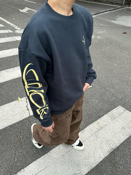 D家 迪奥大刺绣 胶囊卫衣多色（JN） 商品图0