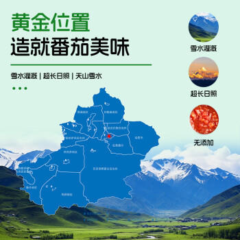 笑厨（XIAOCHU）新疆番茄丁400g*15罐装 配料鲜番茄 0添加剂西红柿丁罐头汁调味酱 /粮油调味 /调味品 /西式酱料 商品图5