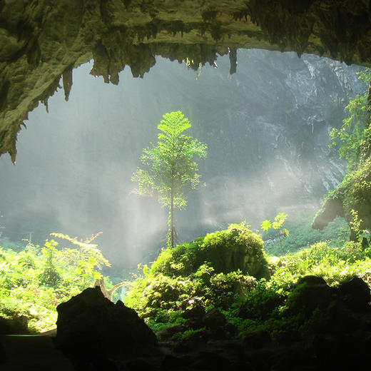 “长寿胜地，养生天堂”长寿金三角之旅（6天5晚） 商品图3