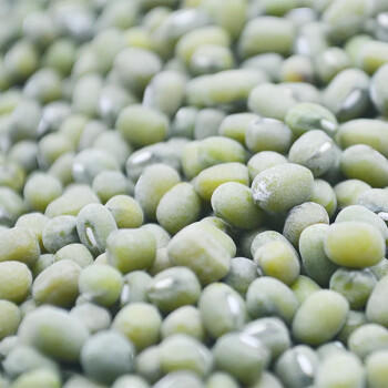 万谷食美 绿豆 毛绿豆1斤 大毛绿豆 豆香浓郁 打豆浆   /粮油调味 /杂粮 /杂豆类 商品图2