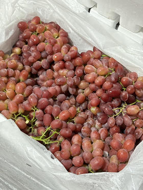 国产无籽提活动款一份约500g