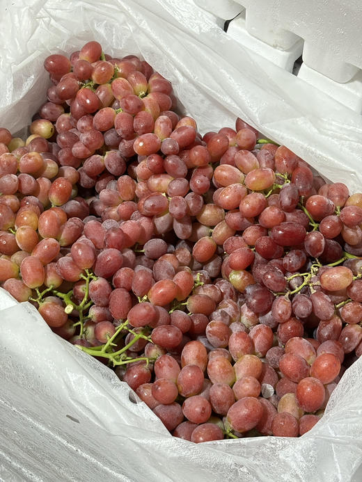 国产无籽提活动款一份约500g 商品图0