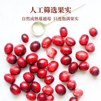 美茵塔尔德国原装进口无添加蔓越莓酱340g早餐伴侣0脂肪 /粮油调味 /调味品 /西式酱料 商品图4