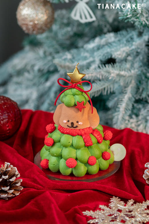 🌟圣诞限定｜修狗星愿树🎄（五寸树莓开心果） 商品图1