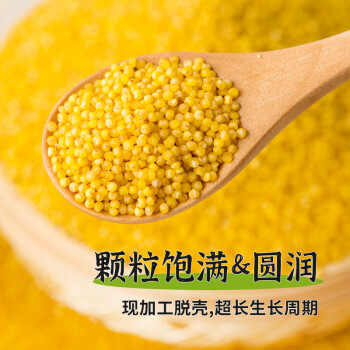 蒙清内蒙古黄小米5斤装金苗K1五谷杂粮粥小米粥小黄米月子米防潮防虫 /粮油调味 /杂粮 /谷米类