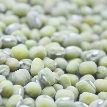 万谷食美 绿豆 毛绿豆1斤 大毛绿豆 豆香浓郁 打豆浆   /粮油调味 /杂粮 /杂豆类 商品图3